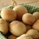 bulochki, s izjumom, koricej, vypechka, orehi, nachinka, bulochki ulitki, formovka, testa, krasivye, bulochki, pljushki, poshagovye, recepty, s foto, magija, kulinarii, v evrope, gollandija, niderlandy, utreht, kak ispech', prigotovit', makom, makovaja, nachinka, makovye, magicooking.com, vypechka, bulochki, s orehami, s shokoladom, orehovye, makovye, vkusnye, ulitki, bulki, poshagovye, foto, recepty, magija, kulinarii, v evrope, выпечка, булочки, с орехами, с шоколадом, ореховые, маковые, вкусные, улитки, булки, пошаговые, фото, рецепты, магия, кулинарии, в европе, начинка, малиновая, ягодная, ягоды, шоколад, как пух, пышные, дрожжевое, тесто, пирожки, картошка, сало, бекон, луком, pirojki, kartoshka, luk