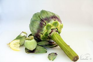 артишоки