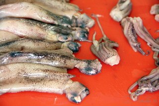 Жареные кальмары