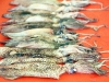 Жареные кальмары