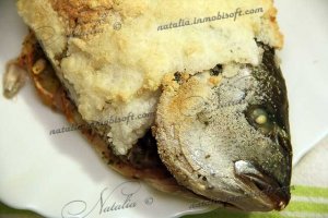 Дорада (ората) в соли