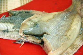 камбала