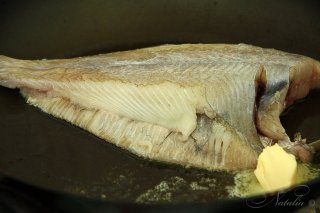 камбала