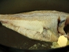 камбала