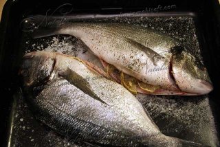 Дорада (ората) в соли