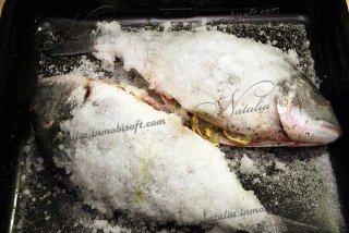 Дорада (ората) в соли