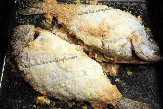 Дорада (ората) в соли