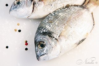 Дорада (ората) с соусом "Salvia"