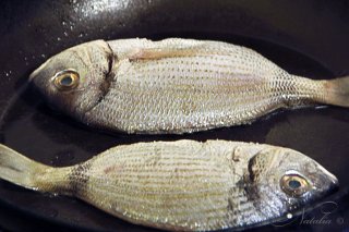 Дорада (ората) с соусом "Salvia"