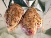 Пастрома из куриной грудки