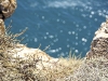 Cabo de S. Vicente. Мыс \"конец земли\"