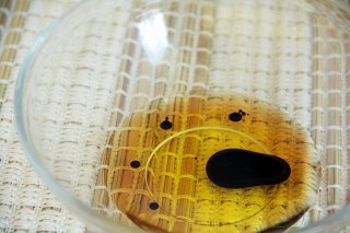 Салат со шпинатом и клубникой