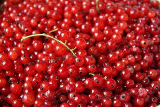 Варенье из красной смородины