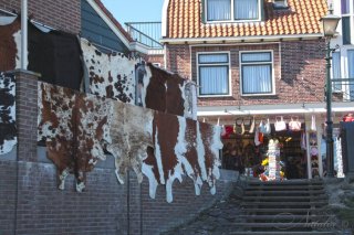 Волендам (Volendam)