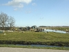 Волендам (Volendam)