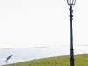 Волендам (Volendam)