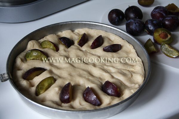 recept, poshagovyj, recept, foto, magija, kulinarii, v evrope, master klass, deserty, vypechka, poleznye bljuda, vkusnyj blog, bystro, legkie, maminy, poleznye recepty, pp uzhin, pp obed, master klass, recept, poshagovyj, recept, foto, magija, kulinarii, v evrope, master klass, deserty, vypechka, poleznye bljuda, vkusnyj blog, bystro, dieticheskie, pp, pravil'noe pitanie, v mul'tivarke, mulineks kuk for mi, na paru, zapechennye, legkie, maminy, poleznye recepty, pp uzhin, pp obed, master klass, dzhem, varen'e, povidlo, slivovoe, konfitjur, shokoladno-slivovoe, nutela, nutella, zagotovki, konservirovanie, pektinovyj sahar, slivy, shokolad, chernosliv, chernosliv v shokolade, gata, pechen'e, armjanskaja gata, armjanskaja vypechka, kuhnja, kata, orehi, mindal', greckij oreh, lesnoj, pekan, shtrejzel', pesochnoe testo, na smetane, detjam, slivovyj pirog, pirog, slivy, zalivka, smetana, smetannyj sous, smetannaja zalivka, mak, makovyj, drozhzhevoj, gollandskij, paj, сливовый пирог, пирог, сливы, заливка, сметана, сметанный соус, сметанная заливка, мак, маковый, дрожжевой, голландский, пай, армянская выпечка, кухня, ката, орехи, миндаль, грецкий орех, лесной, пекан, штрейзель, песочное тесто, на сметане, детям, рецепт, пошаговый, рецепт, фото, магия, кулинарии, в европе, мастер класс, десерты, выпечка, полезные блюда, вкусный блог, быстро, диетические, пп, правильное питание, в мультиварке, мулинекс кук фор ми, на пару, запеченные, легкие, мамины, полезные рецепты, пп ужин, пп обед, мастер класс, джем, варенье, повидло, сливовое, конфитюр, шоколадно-сливовое, нутела, нутелла, заготовки, консервирование, пектиновый сахар, сливы, шоколад, чернослив, чернослив в шоколаде